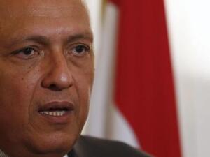 وزير الخارجية المصري سامح شكري 
