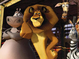 من فيلم (مدغشقر 3)