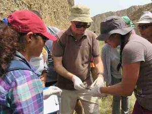 فينس كوك الرئيس التنفيذي للبنك مع فريق العمل في وادي الوريعة