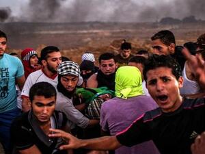 من بين الشهداء 15 شخصا في قطاع غزة - أرشيف