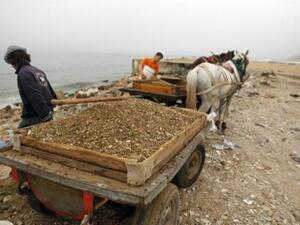 شبان فلسطينيون في غزة يجمعون الحصى من شاطيء البحر لاستخدامه كمواد للبناء/أ.ف.ب