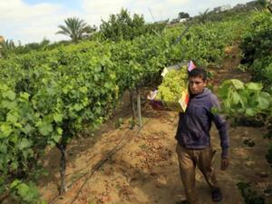  اليوم الدولي للمهاجرين، صادف 18 من الشهر الحالي 