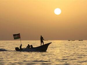 صيادون في مياه غزة