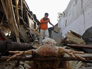 Gaza raid