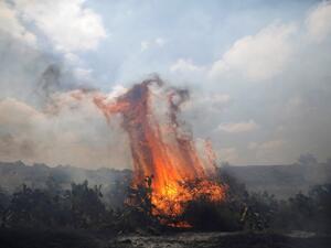 سلسلة حرائق في مستوطنات محيط قطاع غزة