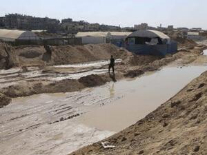 مياه البحر تتسبب في زيادة نسبة الملوحة في التربة، ما يجعلها “غير قابلة للزراعة”