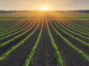 الخليجيون يستهدفون أسواقا جديدة لمنتجاتهم عبر بوابة أذربيجان