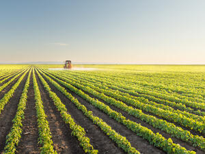 سيحتاج العلماء والمزارعون العمل على عدد من الجبهات لمواجهة انخفاض غلة المحاصيل