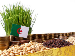 موجة الحرارة في الجزائر تكبد الزراعة خسائر باهظه