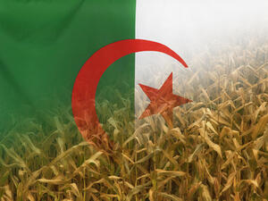 الجزائر تستنجد بالأجانب بهدف  إنعاش الزراعة