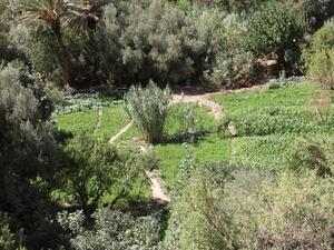 البنك الإسلامي للتنمية يساهم بمشروع زراعي في المغرب بقيمة 79 مليون دولار