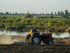 تراجع الأمطار يغير الخارطة الزراعية في سورية