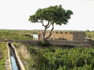 الدعم المطلوب لبدء الانتعاش في قطاع الزراعة في سورية يحتاج إلى مبلغ ما بين 11 و17 مليار دولار أميركي