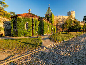 المشروع هو تتويج لتحالف بين دولة الامارات العربية وصربيا تحت قيادة فوسيتش يتنوع من الدفاع والزراعة الي التمويل الرخيص