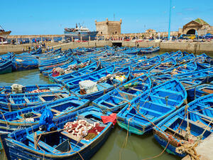 الصيادون الإسبان يخشون تعطيل البرلمان الأوروبي اتفاق صيد مع المغرب
