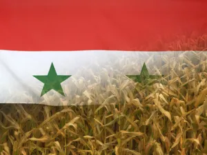يوزع برنامج الأغذية العالمي حصصا على أكثر من أربعة ملايين شخص في سوريا شهريا