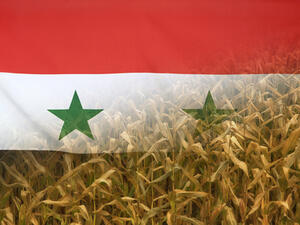 يوزع برنامج الأغذية العالمي حصصا على أكثر من أربعة ملايين شخص في سوريا شهريا