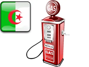 الجزائر تنتج حاليا 9 ملايين طن من وقود الديزل و4 ملايين طن من البنزين سنويا