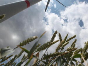 To achieve green development, new mechanisms are required to promote innovation and technology diffusion