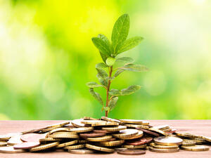 انطلاق الدورة الخامسة من القمة العالمية للاقتصاد الأخضر في دبي