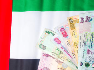الاستثمار الأجنبي المباشر في الإمارات قد يرتفع إلى 50 مليار درهم في 2020