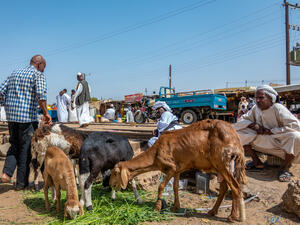 السودان يعاني من تفاقم فوضى الأسواق وانفلات الأسعار 
