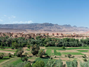 مزارعون مغاربة يخاطرون بعدم التأمين على محاصيلهم