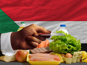 تستهدف الحكومة من ميزانية 2018، خفض التضخم إلى 19.5% هذا العام، مقارنةً بـ34.6% عام 2017، وتحقيق نمو اقتصادي بنسبة 4%، مقارنة بـ3.5% العام الماضي