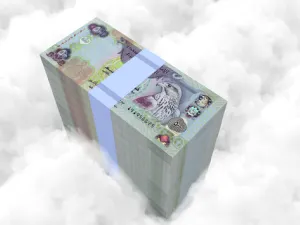 ارتفع الدرهم الذي يرتبط بسعر صرف ثابت مع الدولار الأميركي بأكثر من 25% خلال الأشهر الأربعة الماضية