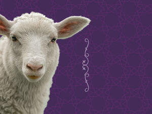 الأوضاع الاقتصادية والأمراض المعدية تحاصر سوق الأضاحي في مصر