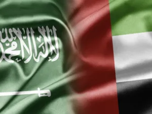 عدد الشركات السعودية العاملة في الإمارات يبلغ أكثر من 2360 شركة بحجم استثمارات وصلت إلى أكثر من 10 مليارات دولار