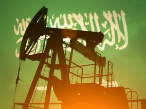 بلغ الاستهلاك المحلي للسهودي من النفط الخام ومشتقاته خلال شهر كانون الثاني (يناير) الماضي، نحو 66.495 مليون برميل، باستثناء الغاز