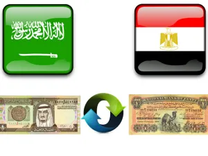 بلغ حجم التبادل التجاري بين السعودية ومصر أكثر من 5 مليارات دولار في العام الماضي، متوقعا زيادته في عام 2015