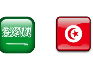 وفرت الاستثمارات السعودية نحو 6.18 ألف فرصة عمل للتونسيين من خلال 38 منشأة سعودية تنشط في أعمال السياحة والصناعة والزراعة