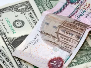 خفض البنك المركزي قيمة الجنيه بنحو 14% في مارس / آذار ليقلص الفارق بين السعر الرسمي وسعر السوق الموازية لفترة قصيرة
