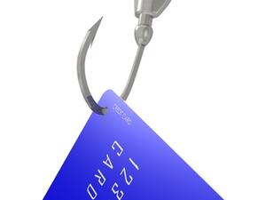 بطاقات الائتمان يمكن أن تتحول إلى كابوس في حالة إساءة استخدامها