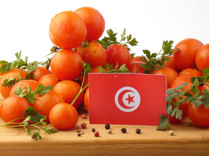 يبلغ معدل الإنتاج الوطني من الطمام نحو مليون طن، يوجه 75% منه إلى صناعات التحويل