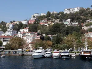 تركيا