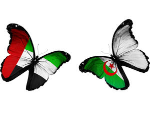 التبادل التجاري والعلاقات الاقتصادية الحالية لم تصل إلى المستوى المأمول، مقارنة بإمكانات وفرص الاستثمار المتاحة في البلدين