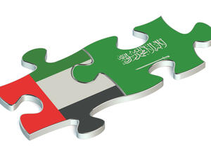 التبادل التجاري بين الإمارات والسعودية يرتفع بنسبة 11% العام الماضي 