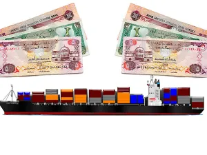 سجل سعر صرف الدرهم الإماراتي خلال العام 2014 ارتفاعات قياسية أمام كافة العملات العالمية والإقليمية مستفيدا من قوة الدولار المتصاعدة أمام هذه العملات منذ الربع الأخير من العام 