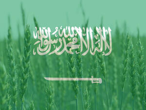 سجلت كميات القمح المستورد للسوق السعودي 305 آلاف طن في 2008، بينما تجاوزت منذ كانون الثاني (يناير) مطلع العام حتى تشرين الأول (أكتوبر) الجاري، ثلاثة ملايين طن