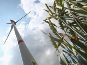 The solar plant is expected to be ready and connected to the national grid in mid-2015