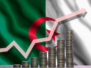 مجلس الوزراء الجزائري يرفع الرسوم الجمركية بنسب تتراوح بين 60% و 200%