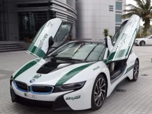 الدوريات تعكس التطور الحضاري الذي تعيشه إمارة دبي، ومدى التطور الذي تشهده ‫‏شرطة دبي في إمكانياتها من الآليات والدوريات، وغيرها من الأدوات الأمنية والتقنية