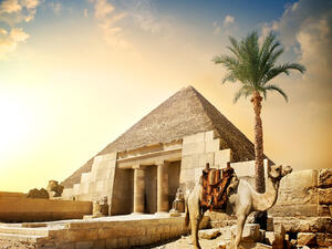 مصر 