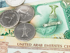 الاستثمارات الإماراتية بالخارج أثبتت كفاءة عالية في الأسواق الإقليمية والدولية