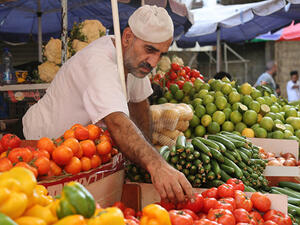 حجم صادرات مصر من الحاصلات الزراعية للدول العربية يبلغ نحو 1.2 مليون طن سنويا