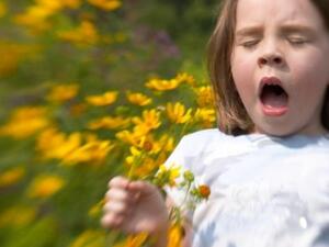 حساسية الربيع 