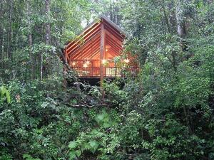 The Canopy Rainforest Treehouses: يقع في أستراليا، وهي منازل أشجار مصنوعة من جذوع الأشجار، تحتوي الشاليهات على سبا مزدوج، مدفأة خشبية، سرير ملكي ومكان للشواء